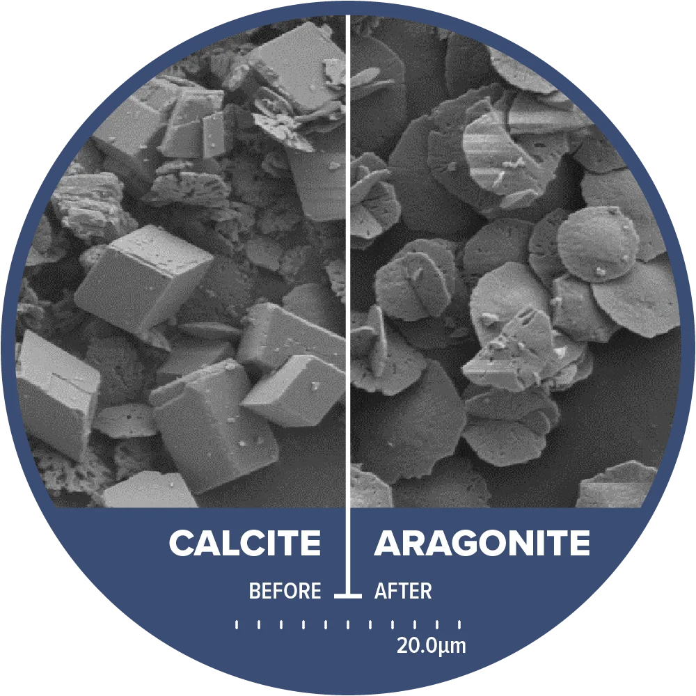 Microscope comparison of sharp calcite crystals and rounded aragonite crystals